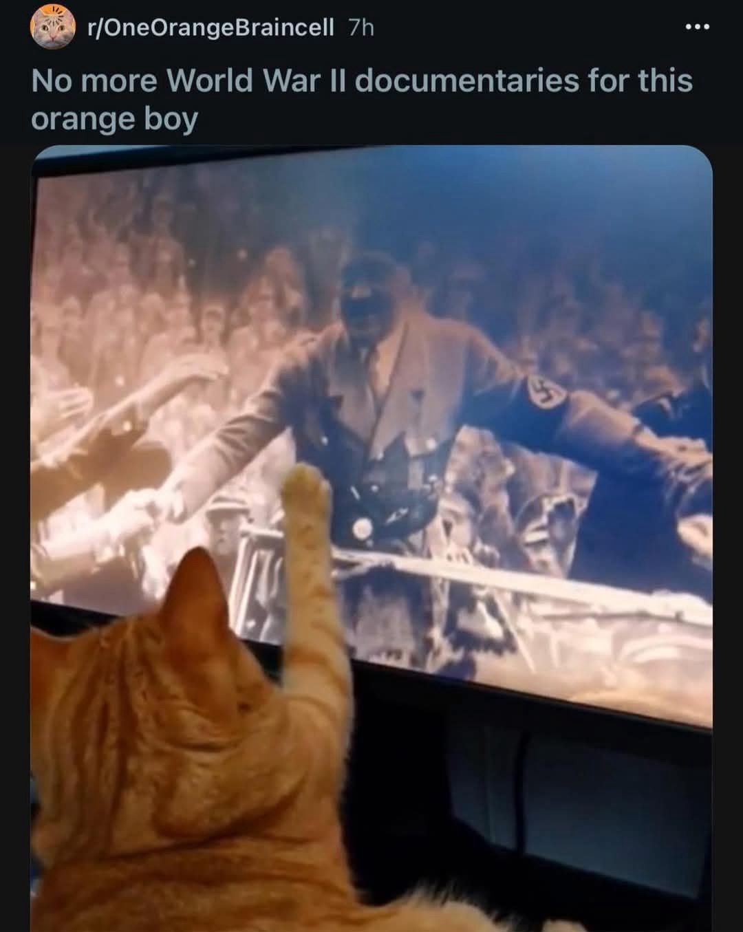 20 Memes That Are Funny, Filthy, and Fully Unapologetic 24 World war 2 documentaries