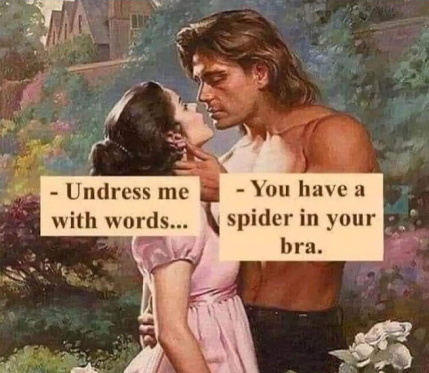 20 Memes Thrown Together Like a Last-Minute School Project 19 You have a spider