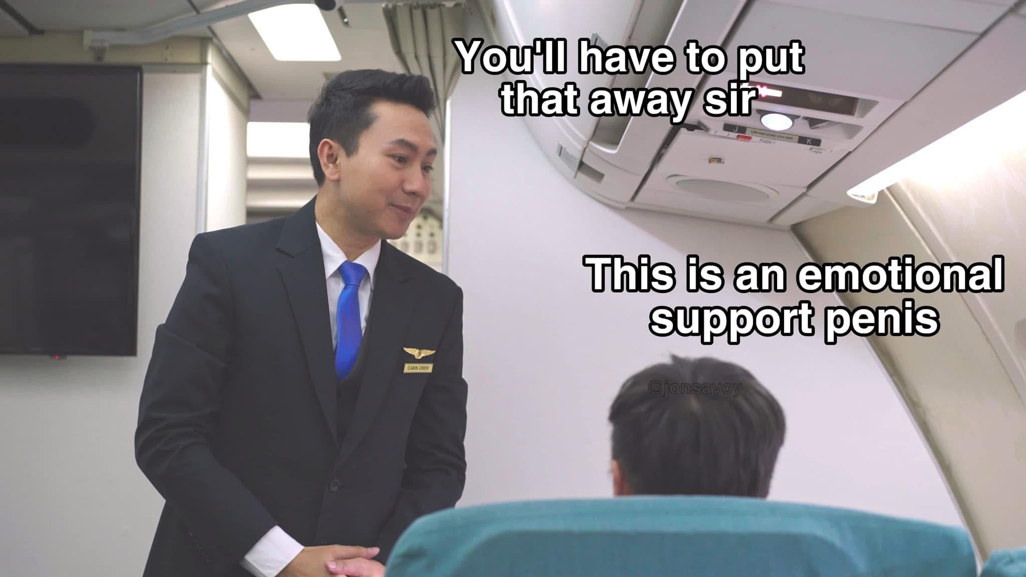 20 Memes That Are 90% Funny, 10% Naughty 27 You want an airplane