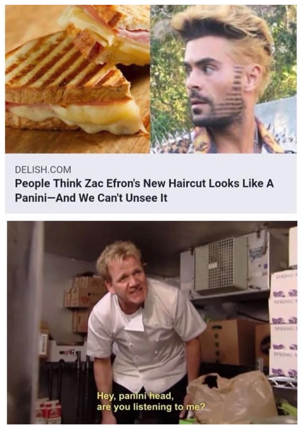 20 Memes That Took One Look at Logic and Walked Away 20 Zack efron new haircut