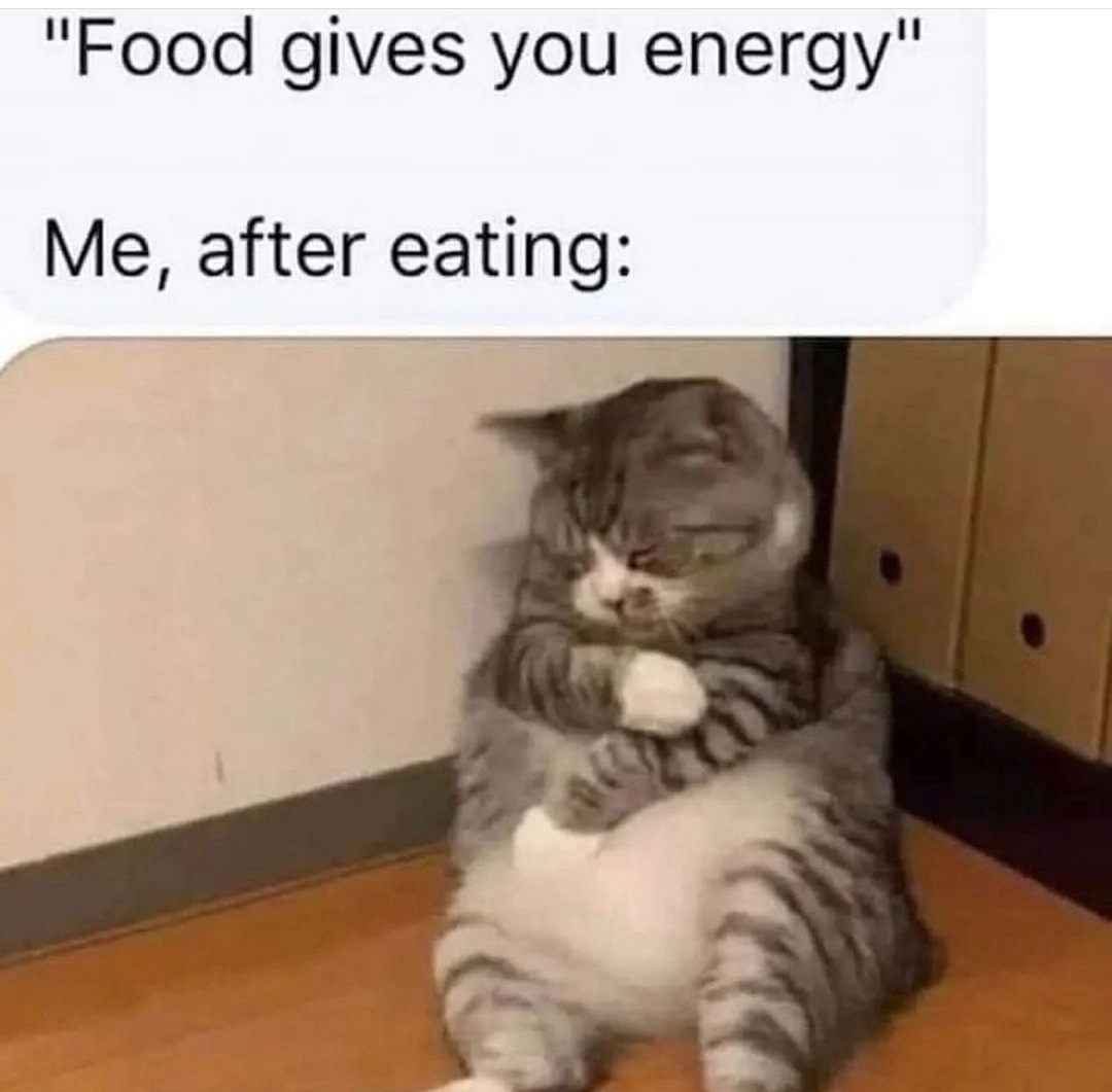 24 Memes with No Theme and Even Less Context 8 food give you energy