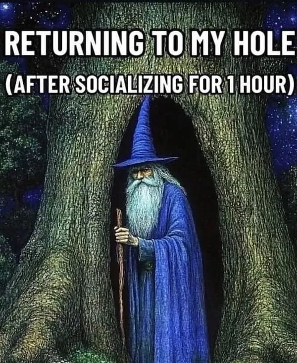 20 Memes for When You’re Trying Your Best but the Universe Says No 5 fter socialising for 1 hour