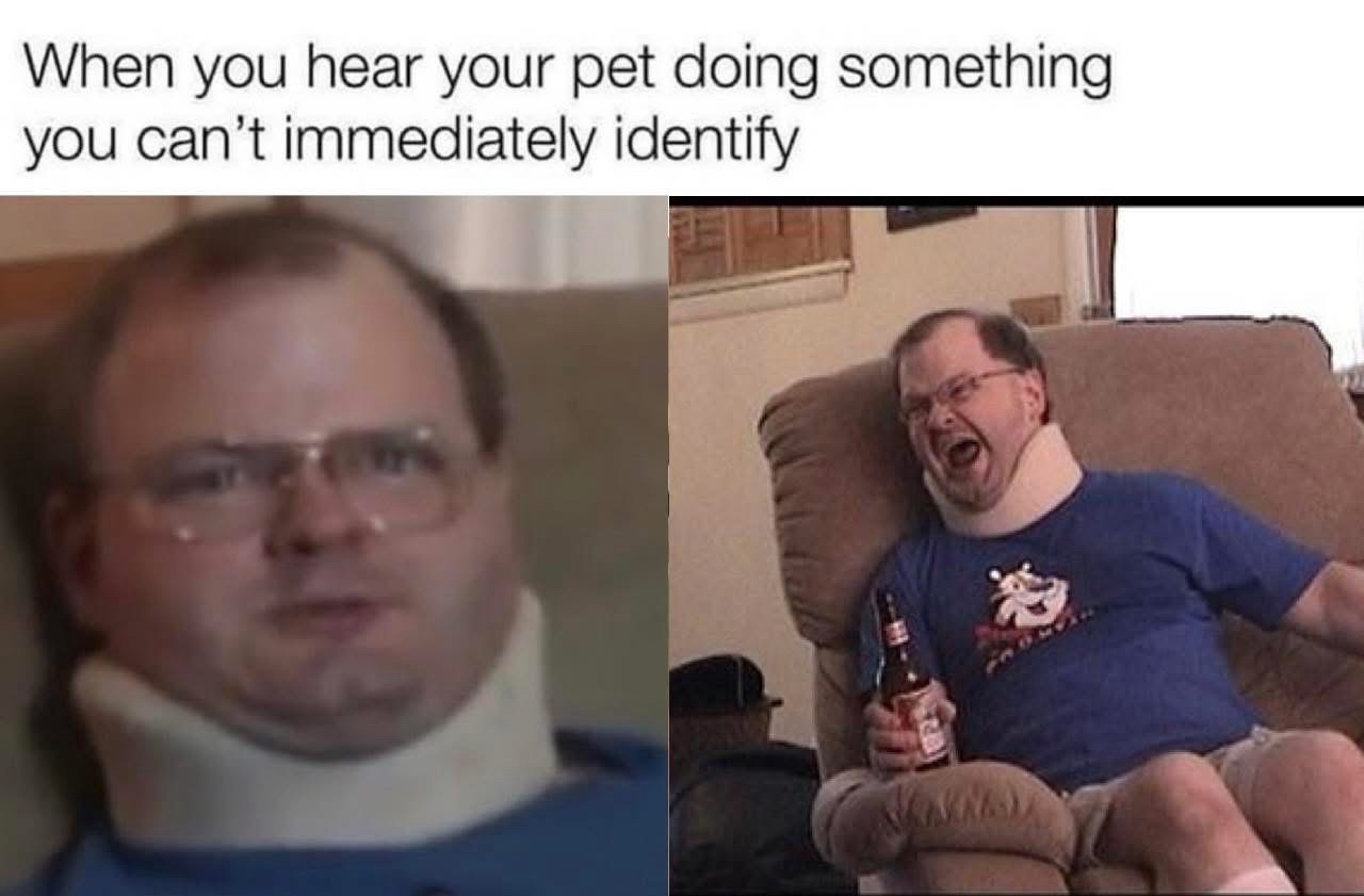 20 Memes That Are Funny, Filthy, and Fully Unapologetic 7 hear your pet