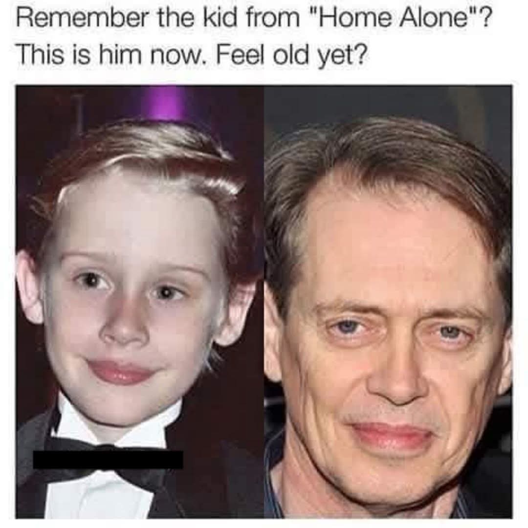 20 Funny Memes You Weren’t Emotionally Prepared to See 9 id from home alone