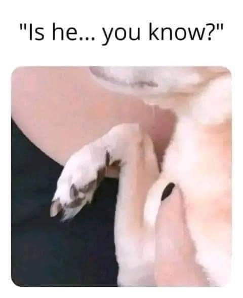 20 Memes That Are Definitely Up to Something Inappropriate 10 is he you know