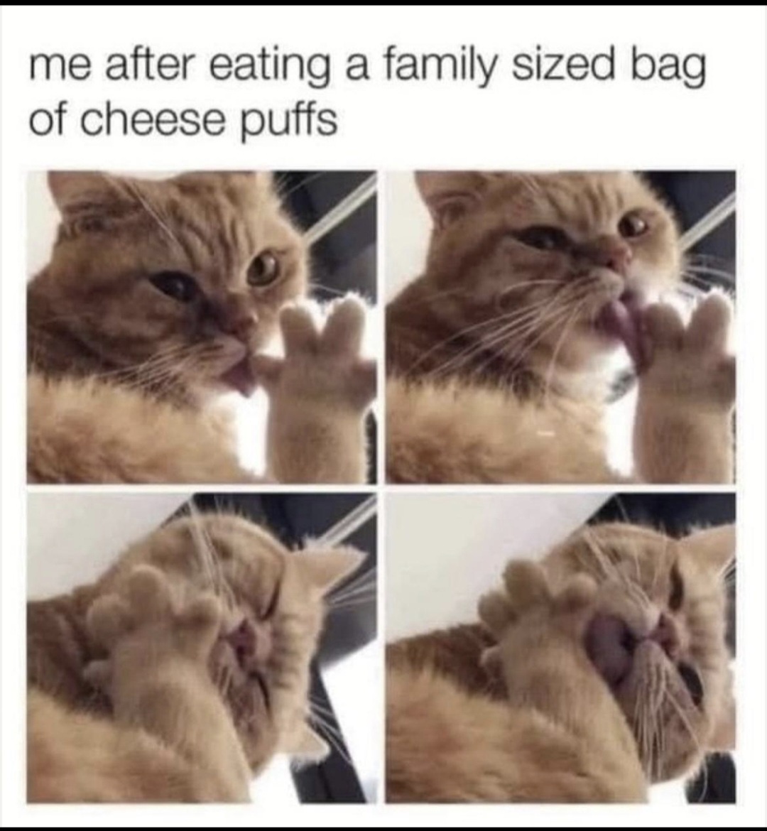 25 Random Memes That’ll Slap You with Surprise Laughter 25 me after eating