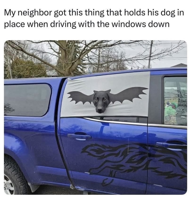 20 Memes to End the week with some laughs 14 my neighbor got this