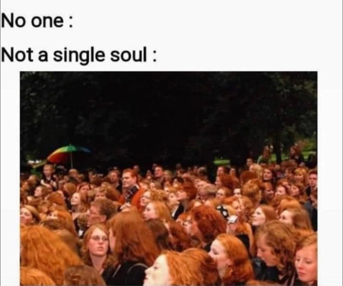 30 Redhead Memes to Celebrate World Redhead Day with Laughter 31 not a single soul
