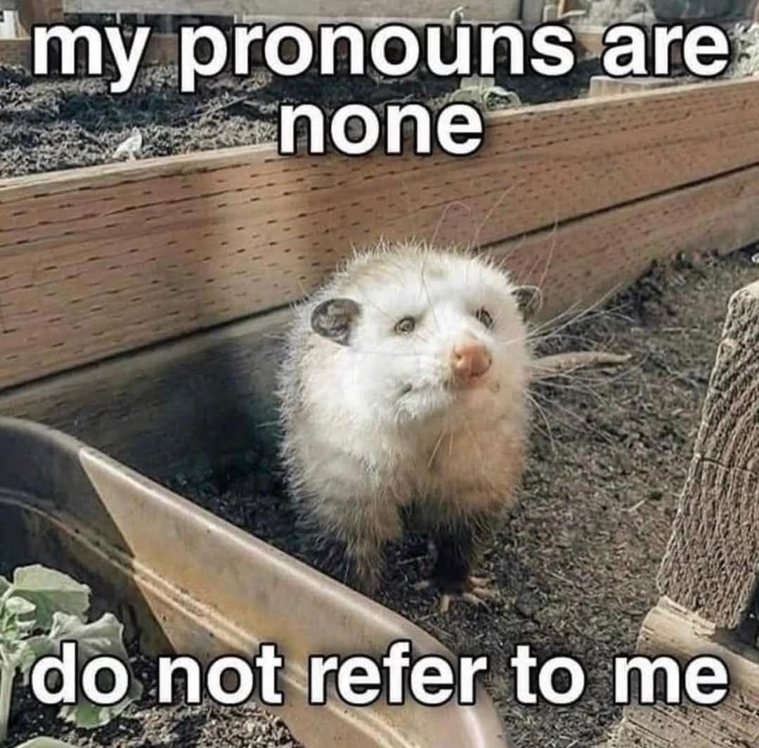 20 Dank Funny Memes You Shouldn’t Click On… But You’re Going To Anyway 15 ronouns are none - Dank Funny Memes