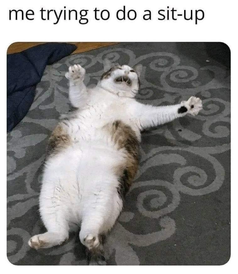 20 Memes That Are More You Than You Are 19 trying to do sit up