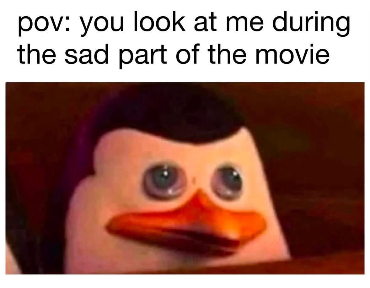 24 Memes with No Theme and Even Less Context 23 you look at me