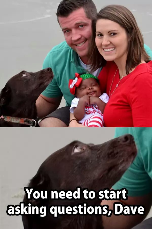 you need to start asking questions