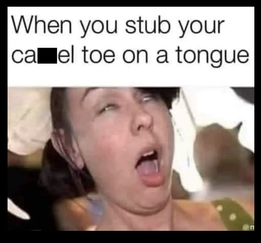 20 Memes That Are Just Vibes, and the Vibe Is Pure Comedy 18 1CD21F6A 4AB7 4929 83D3 B91FDD10F049 1 201 a edited