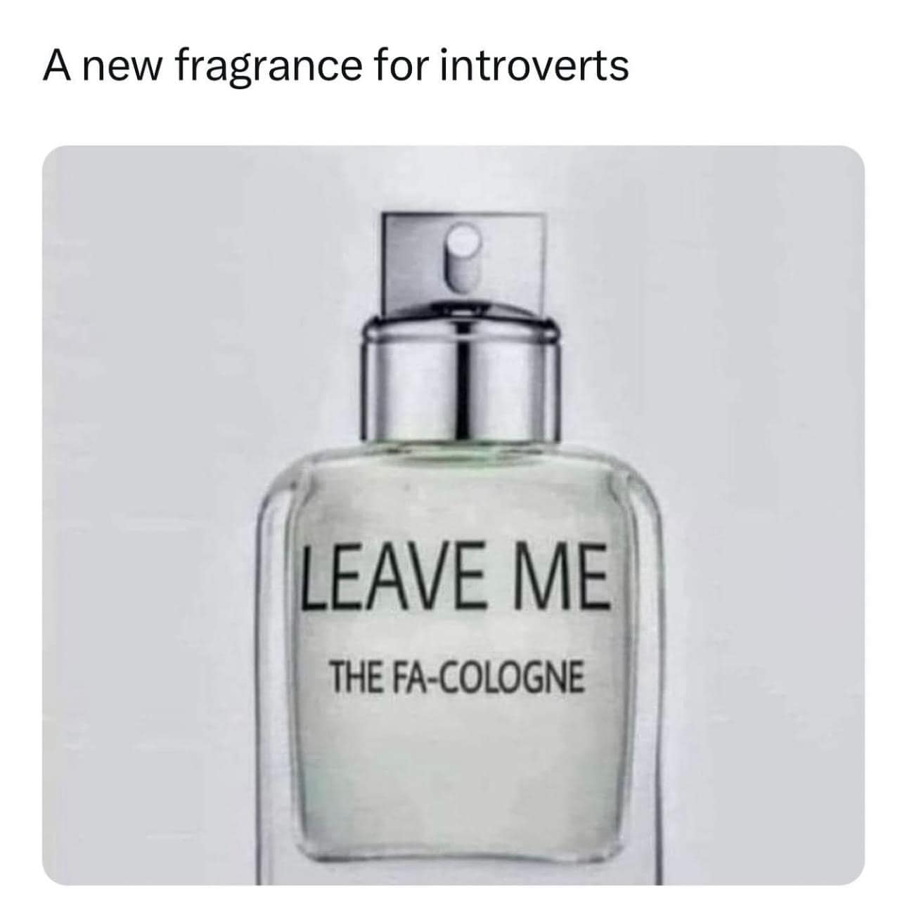 Which one of lied - Memes for Introverts