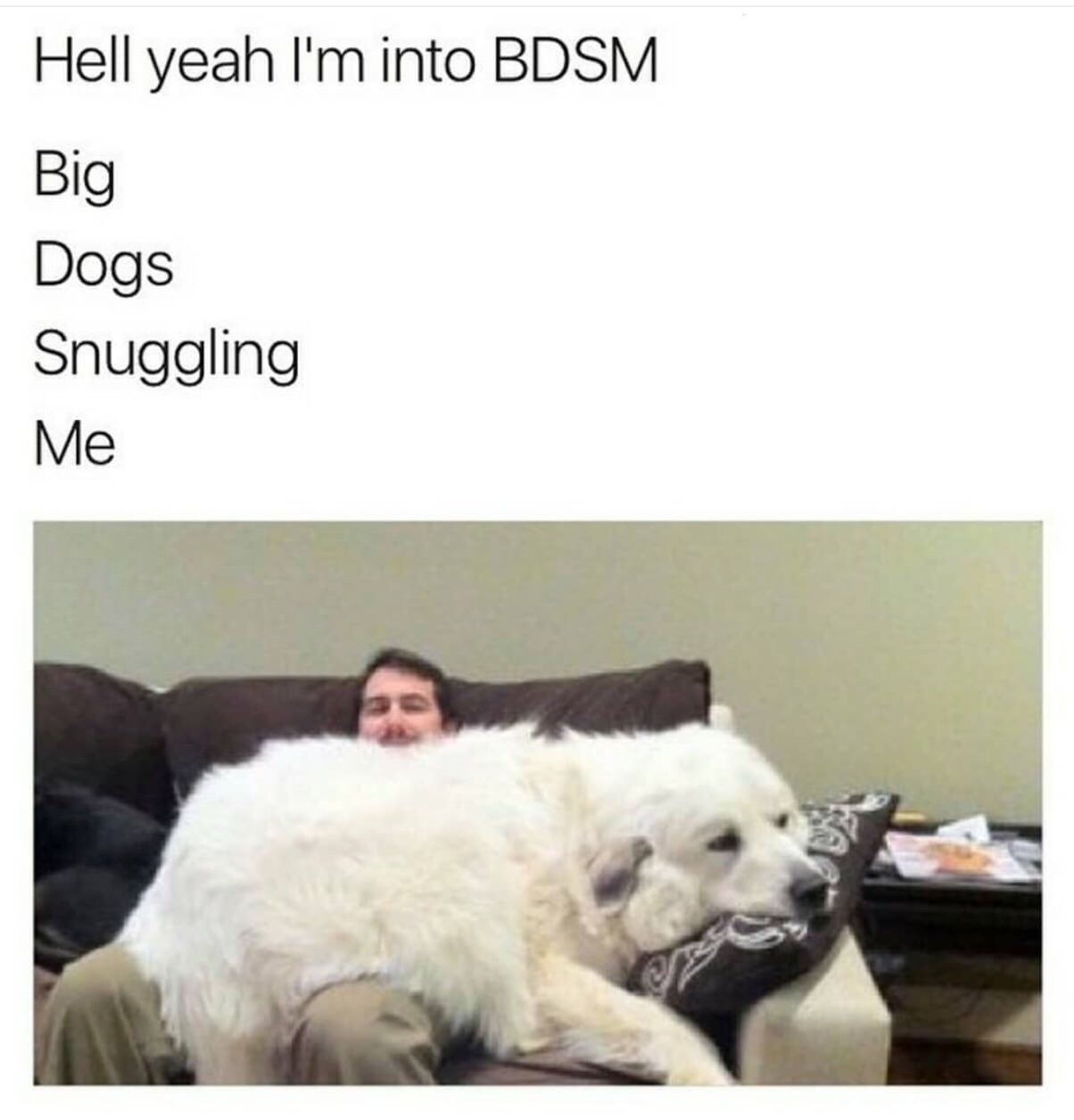 20 Funny and Unhinged Memes That Go Off the Rails 1 Big dogs snuggling