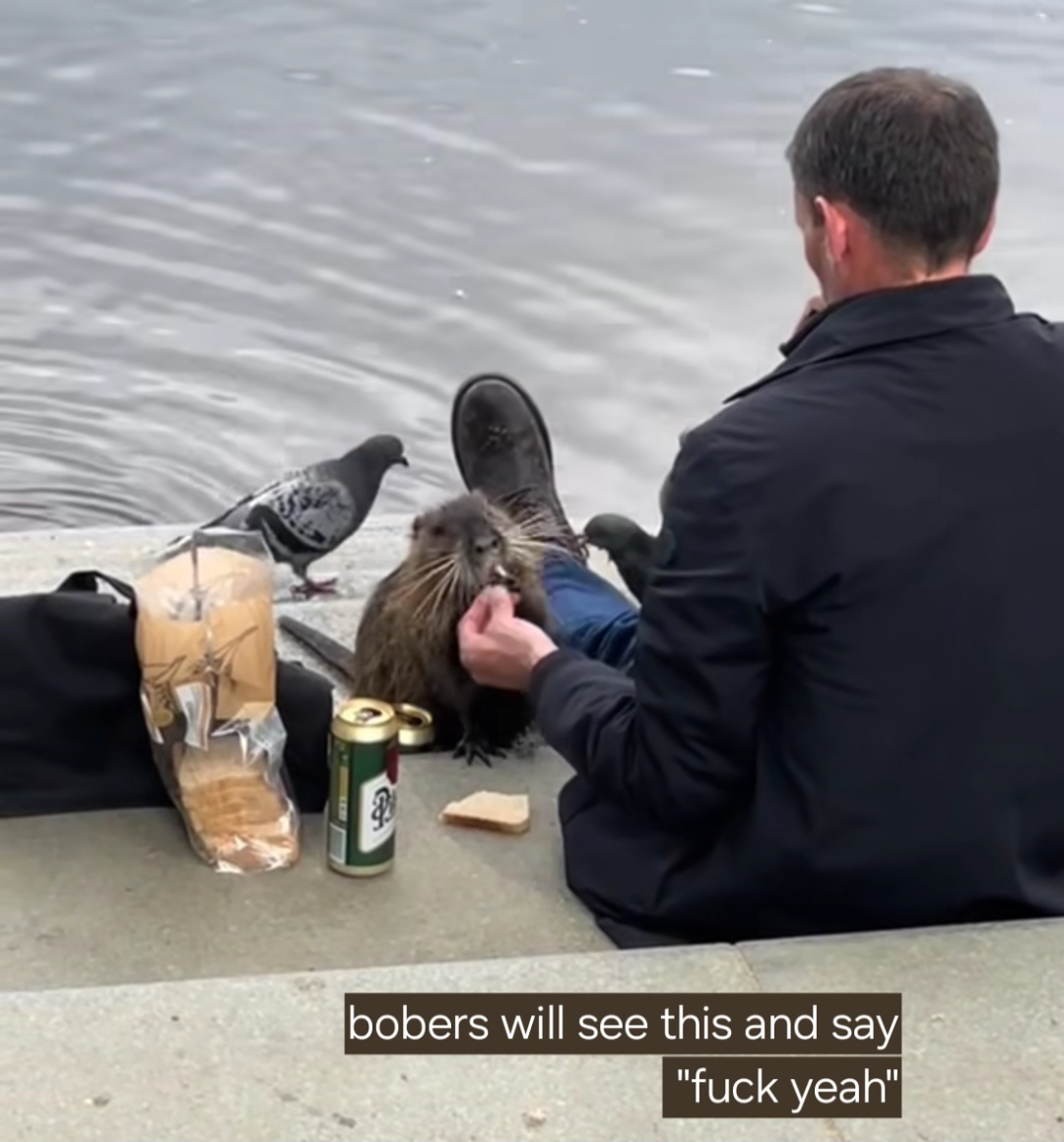 20 Funny and Unhinged Memes That Go Off the Rails 2 Bobers will see this