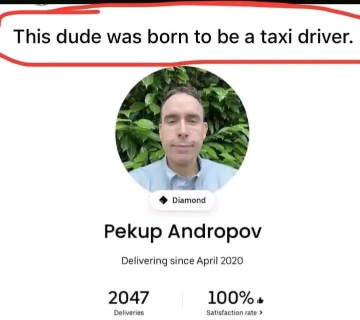 25 Memes That Make No Sense and That’s Exactly Why They’re Perfect 1 Born to be taxi driver