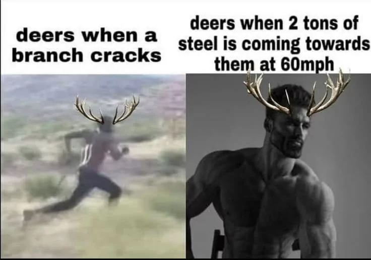 Deers when branch cracks