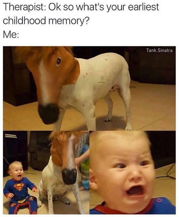 20 Animal Memes That Heard You Were Having a Ruff Day 4 Earlies childhood memory