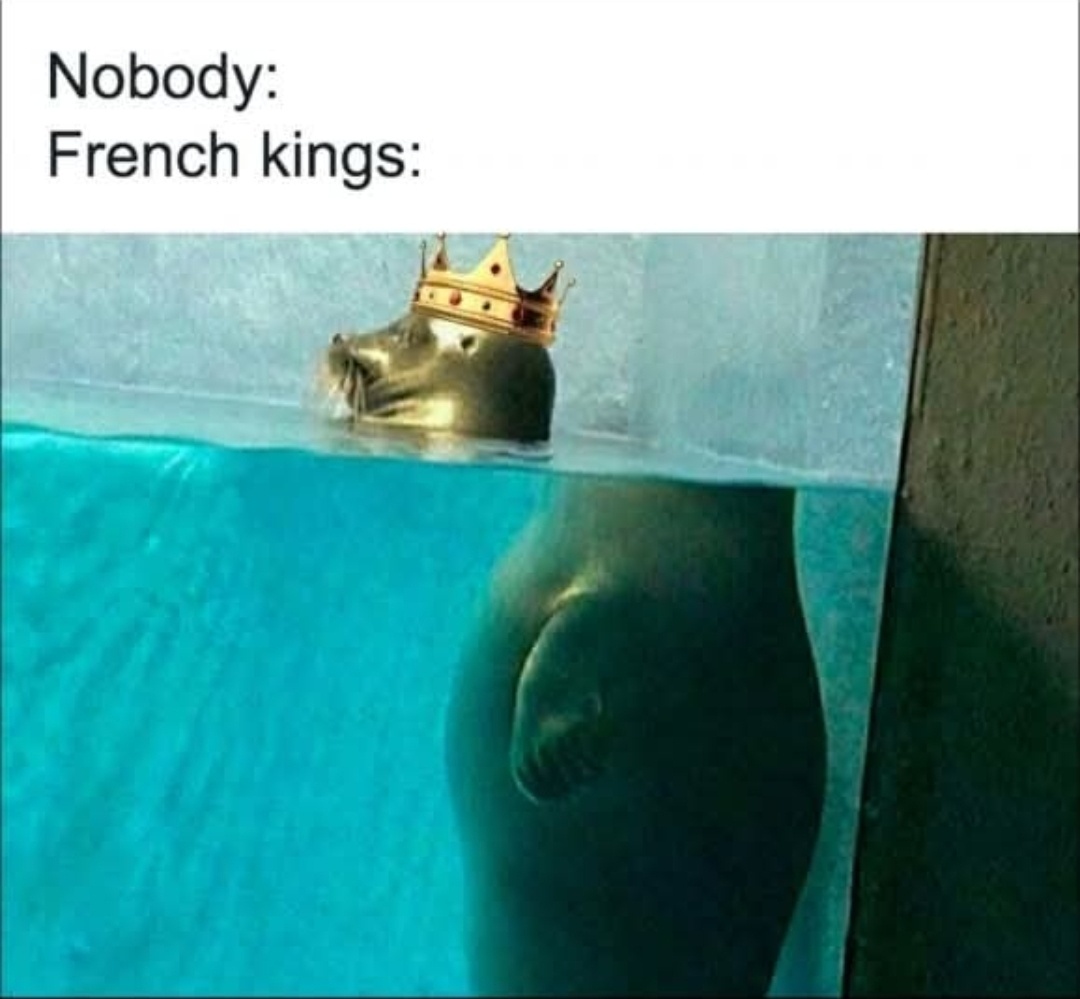 30 Hilarious Memes for Adults Unwinding on Saturdays and Sundays 27 French kings