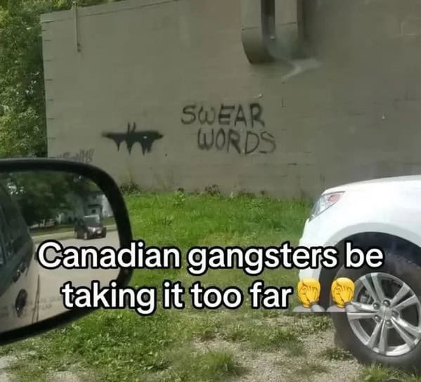 20 Memes That Got Lost on the Way to Relevance and You'll Love Them for It 5 Gangsters be taking it too far