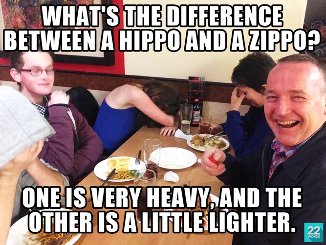 45 Funniest Pun Memes That Are Damn Punny 42 Hippo and zippo