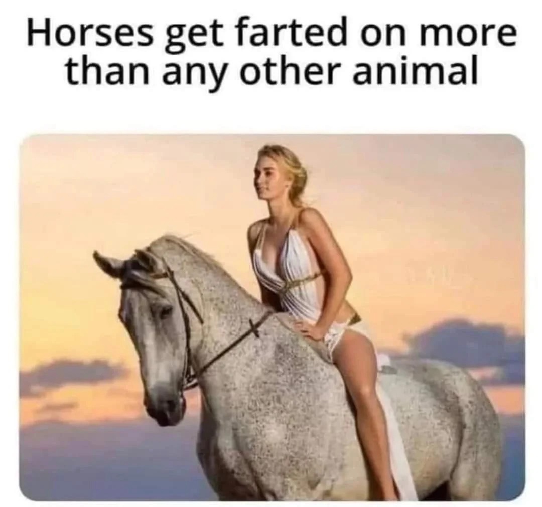40 Fascinating "Did You Know Memes" That Will Shake You Up 39 Horses get farted on