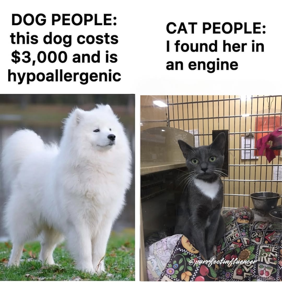 I found her in engine