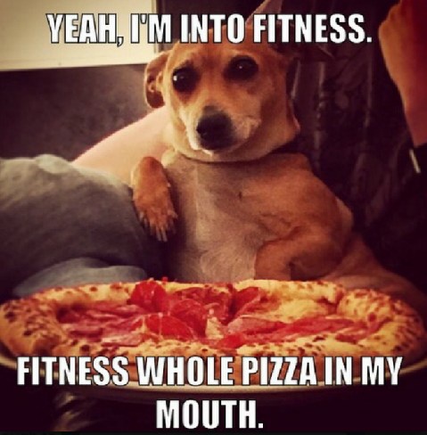 30 Animal Memes To Start Your Day Right 30 Im into fitness