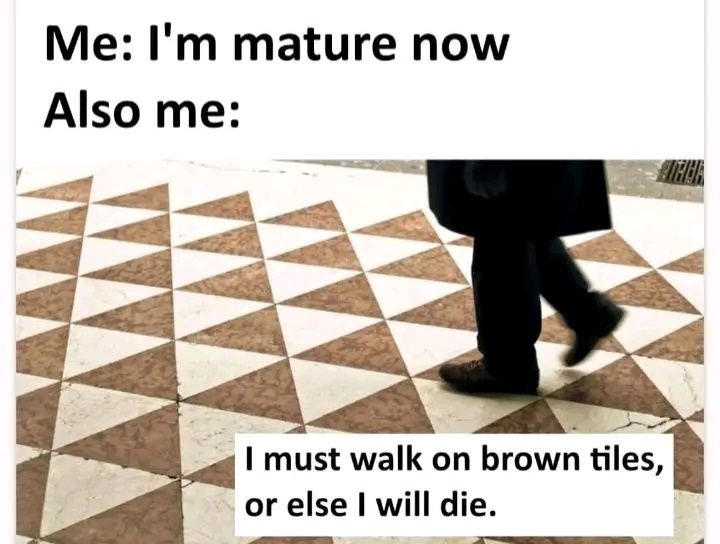 20 Memes to Feed Your Brain While You Rot Peacefully on a Sunday 3 Im mature now