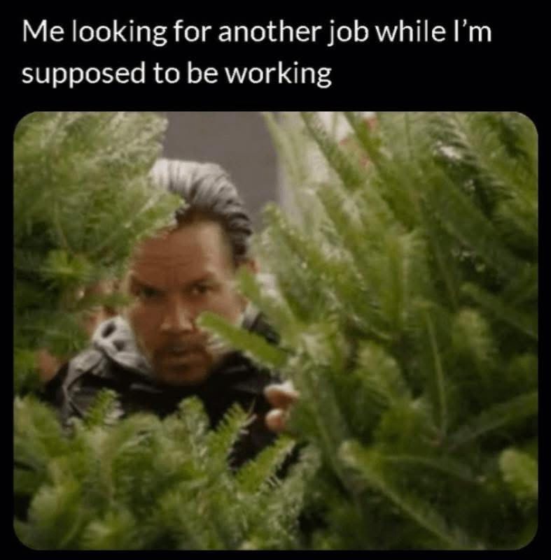20 Memes That Are Just Vibes, and the Vibe Is Pure Comedy 5 Looking for aother job