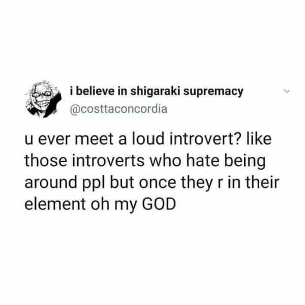 Loud introvert - Memes for Introverts