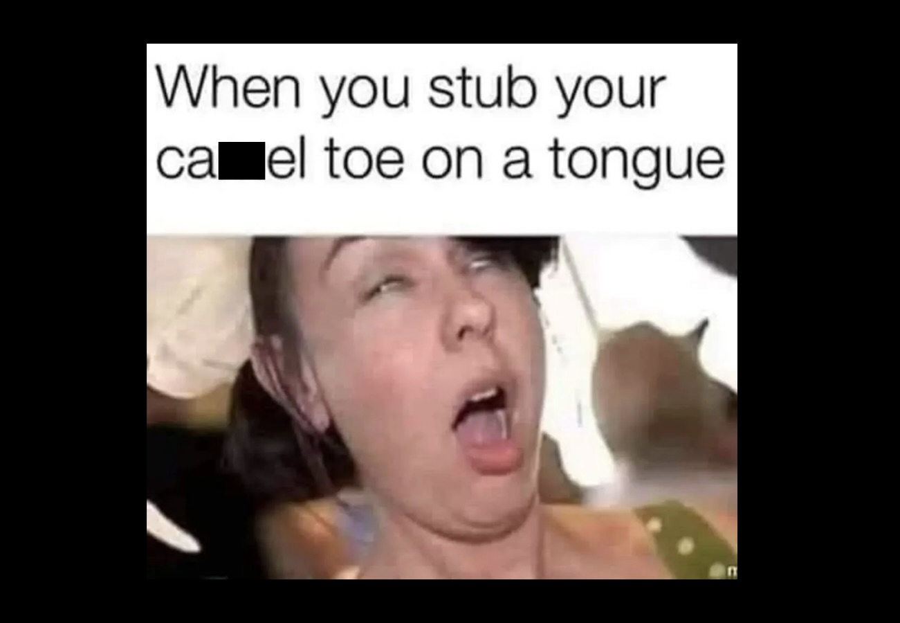 Memes That Are Just Vibes and the Vibe Is Pure Comedy FG