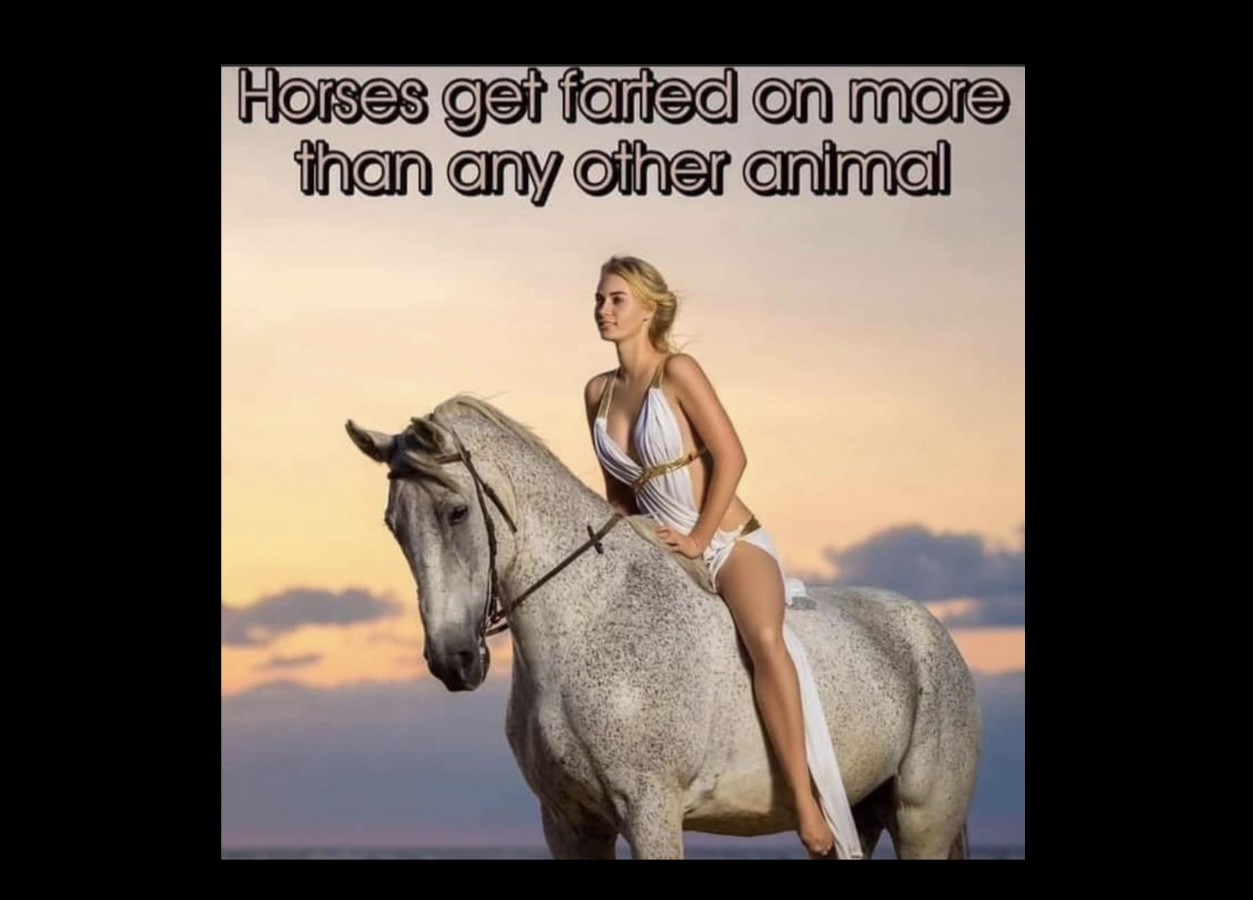 Memes That Said “Oops” and Kept Doing It Anyway - FG