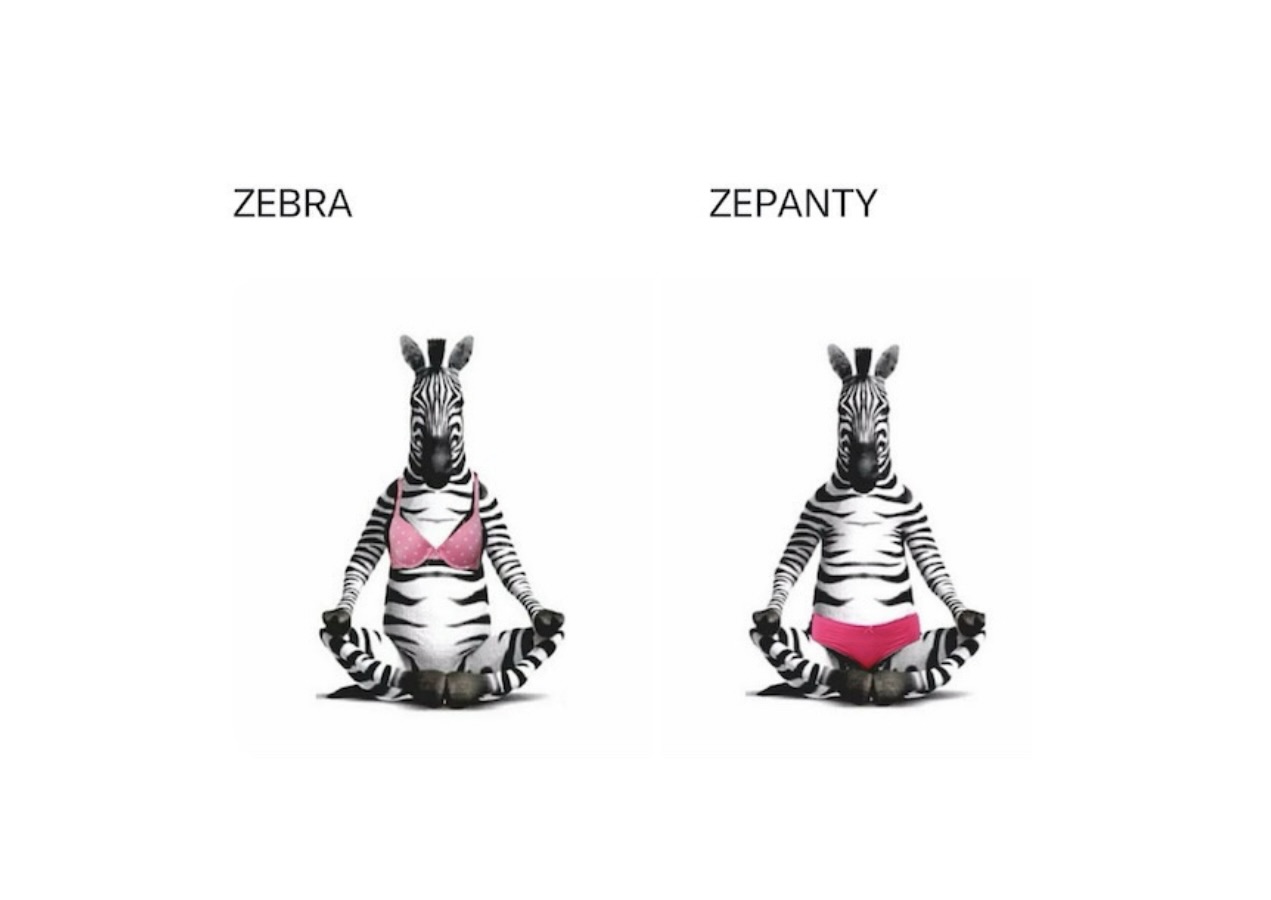 Memes That Went Full Nonsense and Never Looked Back - FG.jpeg