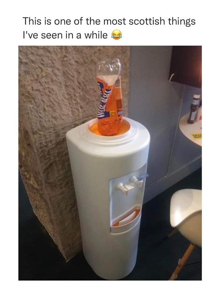 20 Memes That Seem Harmless Until Your Brain Hits a Wall 16 Most scottish thing