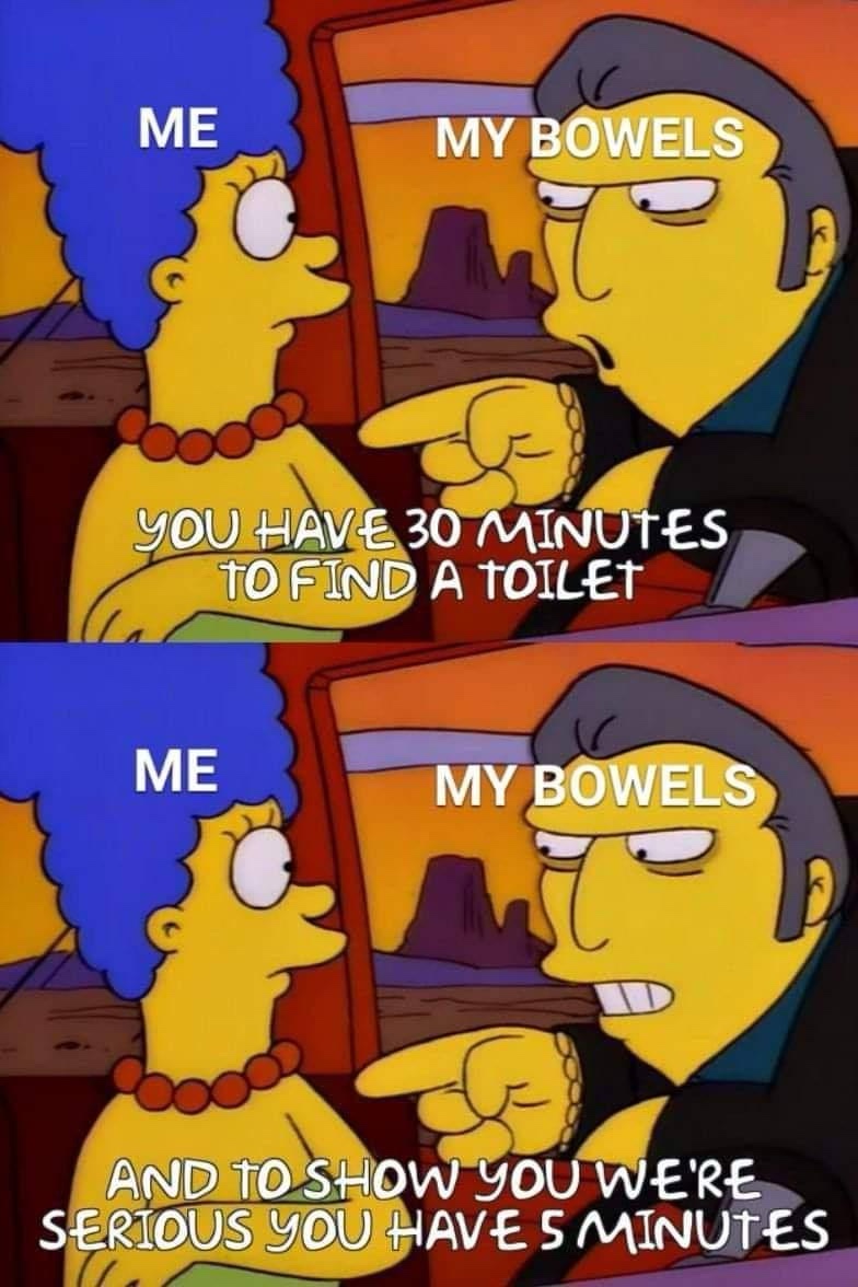 20 Memes to Feed Your Brain While You Rot Peacefully on a Sunday 10 My bowels to me