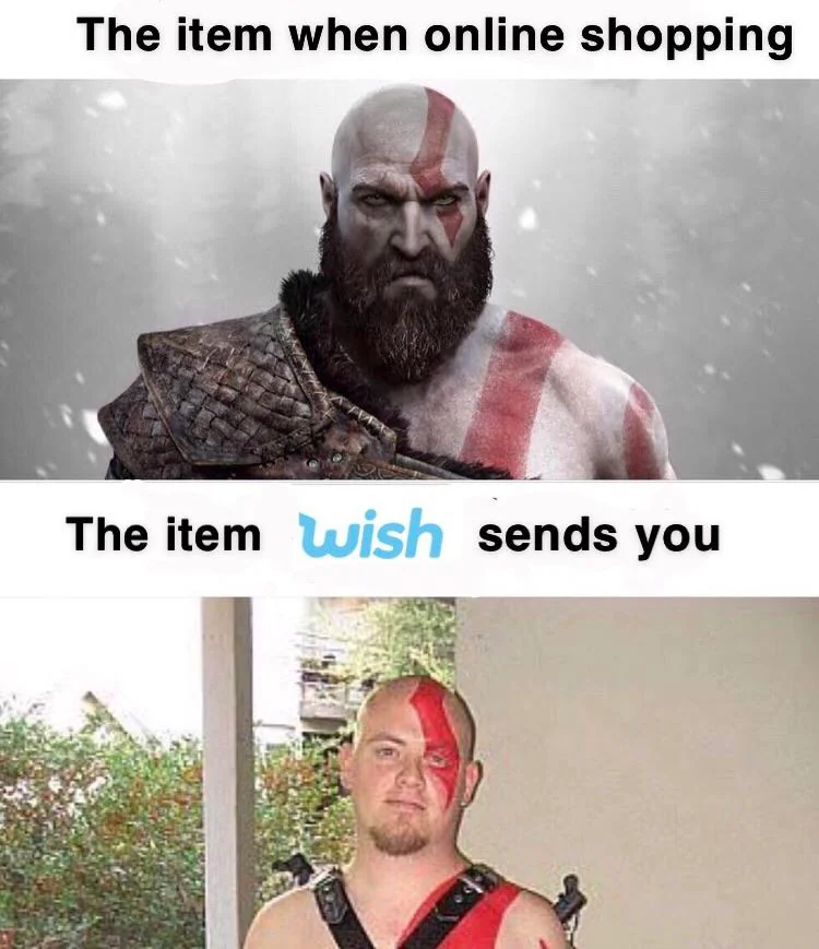 40 "When You Order From Wish Memes" That Will Make You Wish You Never Ordered From Wish 39 PC from wish