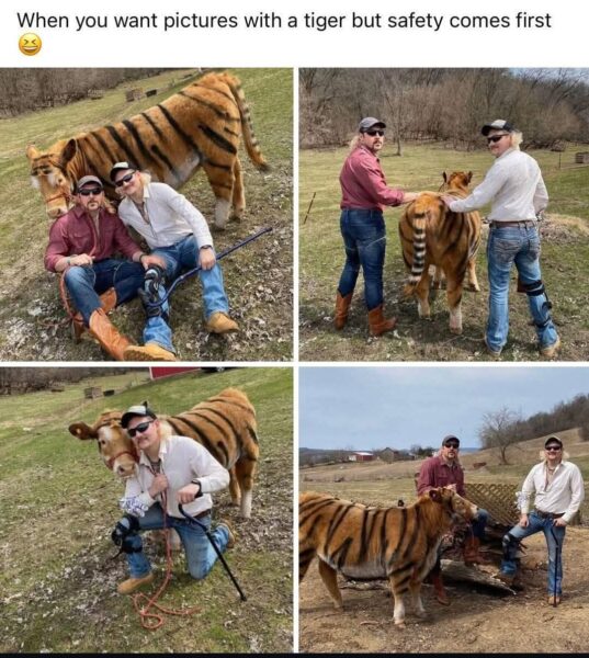 20 Memes to Feed Your Brain While You Rot Peacefully on a Sunday 14 Pictures with tiger