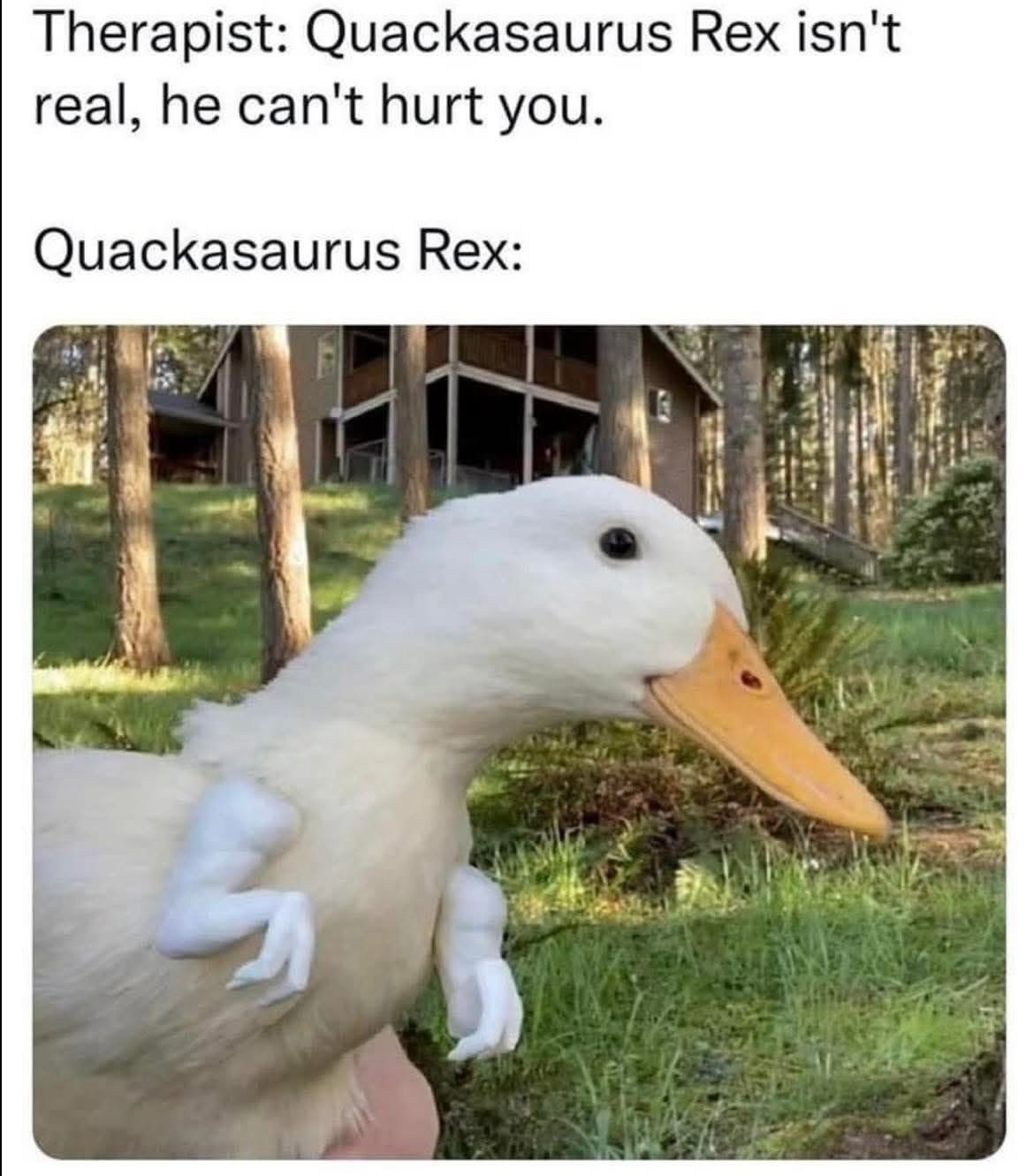 20 Memes That Are Just Vibes, and the Vibe Is Pure Comedy 11 Quackasaurus rex