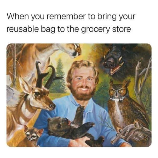 20 Chaotic and Funny Memes for When Your Brain Needs a Time-Out 16 Reusable bag at grocery store