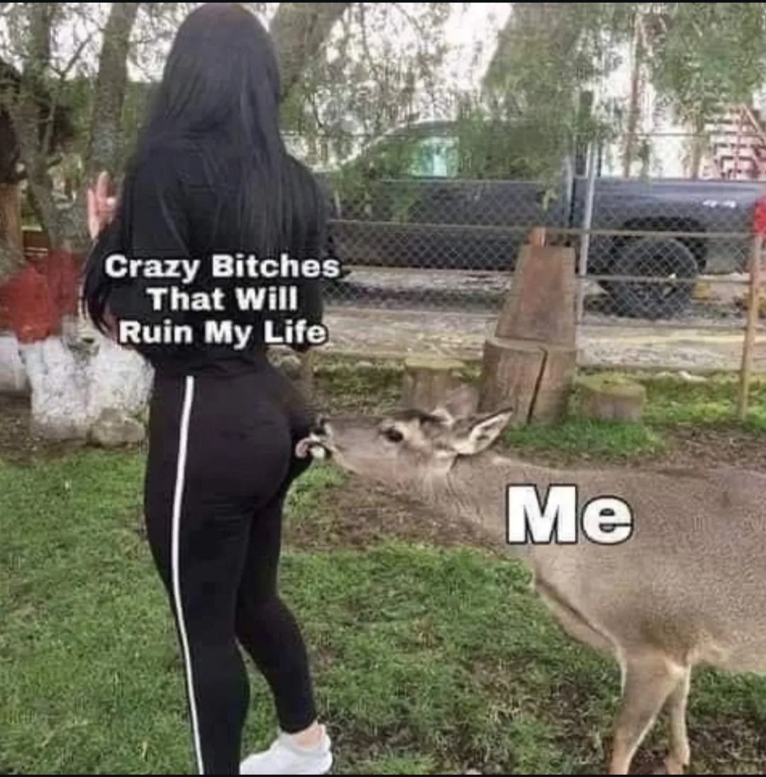 29 Slightly Dirty Memes That’ll Make You Rethink Your Innocence 27 Ruin my life