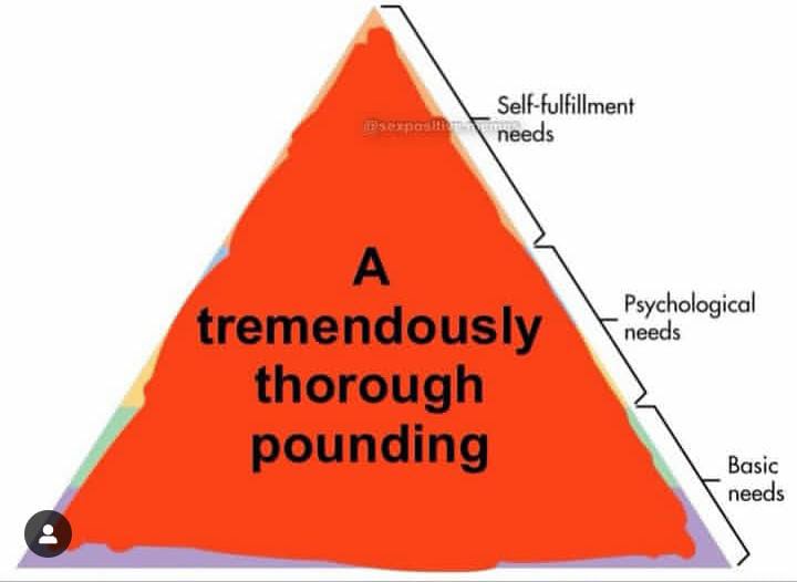 20 Memes So Dirty You'll Pretend They're Educational 14 Self fulfilment needs