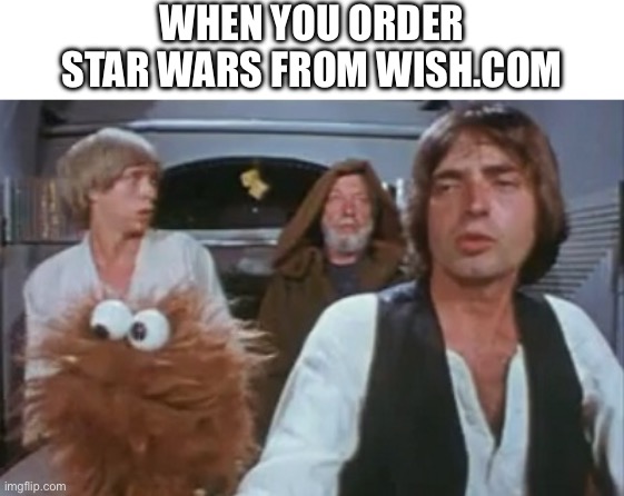 40 "When You Order From Wish Memes" That Will Make You Wish You Never Ordered From Wish 40 Start wars from wish