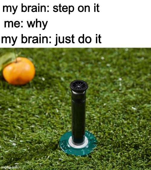 35 Funny "Brain Just Do It Memes" That Anyone With A Brain Will Relate To 38 Step on it