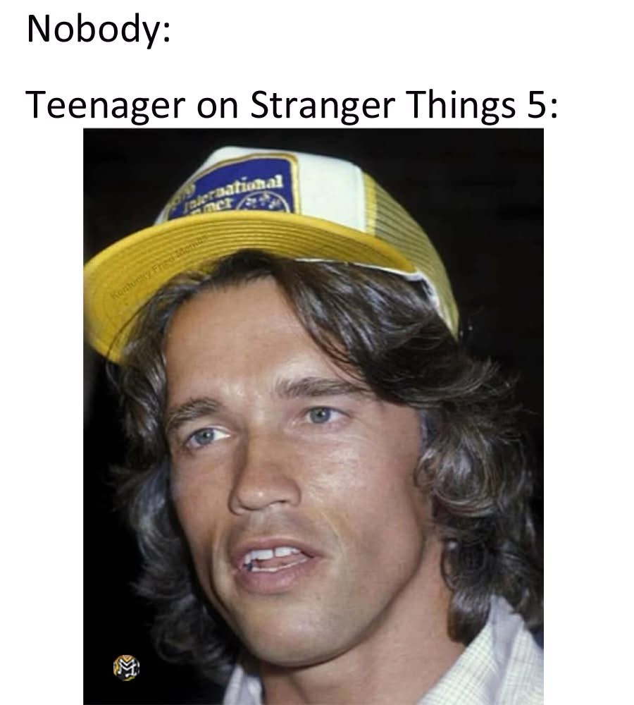 20 Memes That Are Just Vibes, and the Vibe Is Pure Comedy 15 Teenager on stranger things