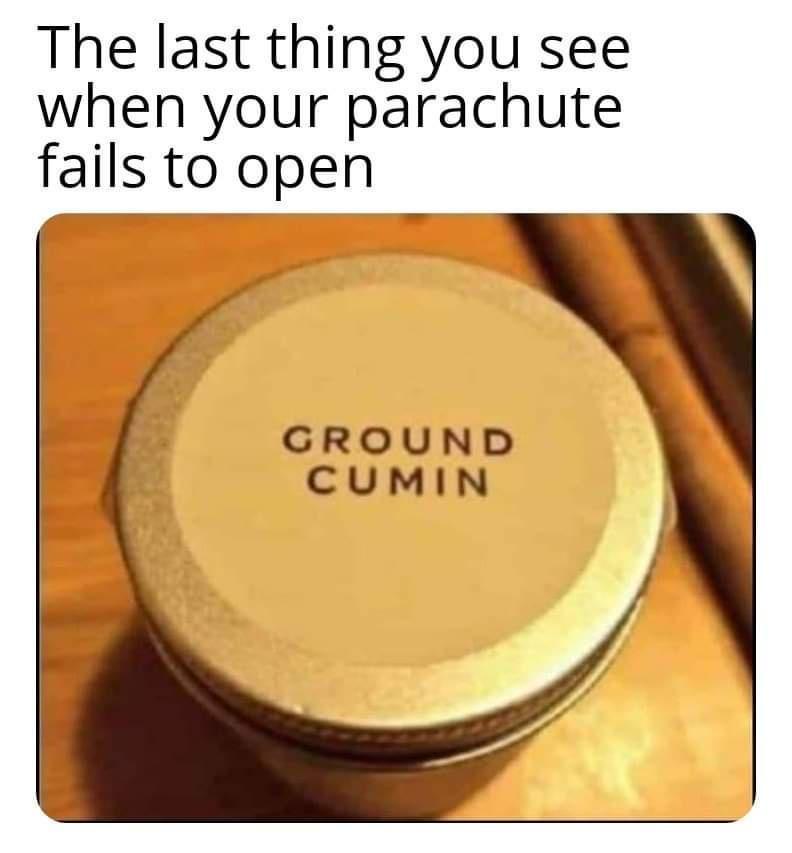 45 Funniest Pun Memes That Are Damn Punny 43 The last thing you see