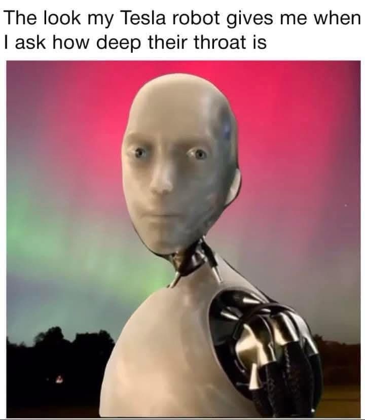 20 Memes That Are Just Vibes, and the Vibe Is Pure Comedy 17 The look my tesla robot gives me