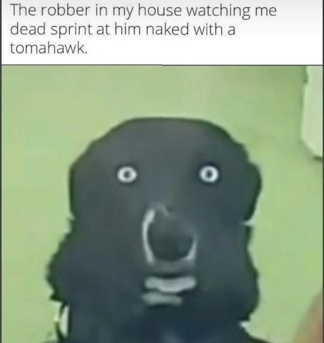 24 Memes That Make Less Sense the Longer You Stare 19 The robber in my house