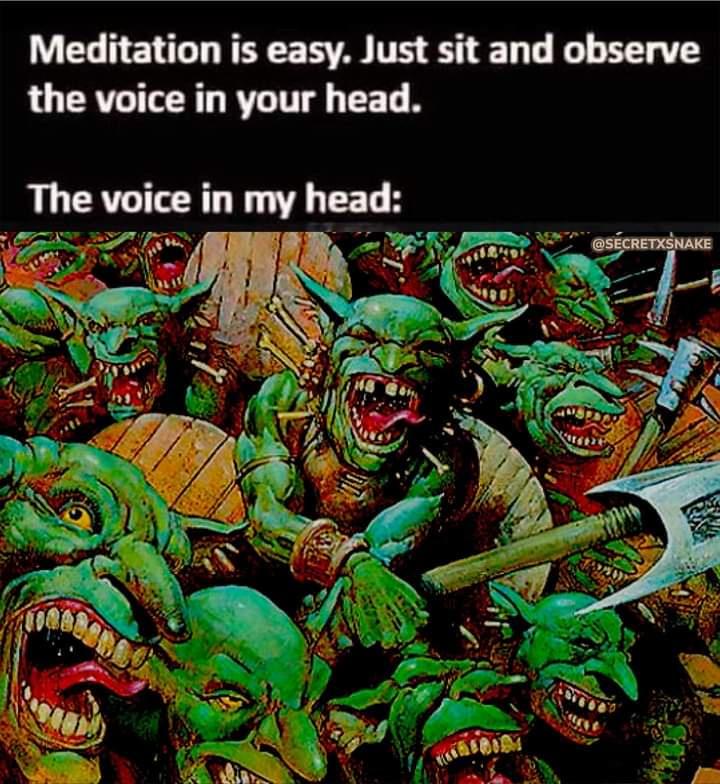 25 Funny and Unhinged Memes That Go Off the Rails 23 The voice in my head